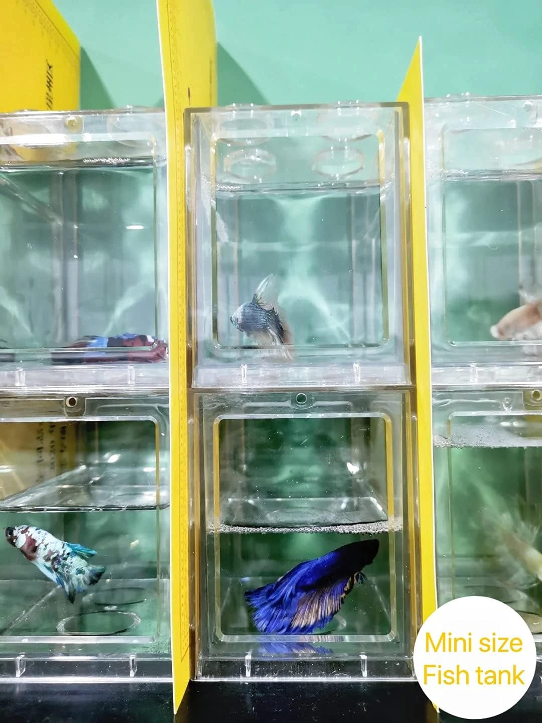 Small Fish Tank, Mini Betta Fish Tank Stackable Cube Tank with Fish Tank Decor, Ant Feeding Case Mini Reptile Row Box (Clear)